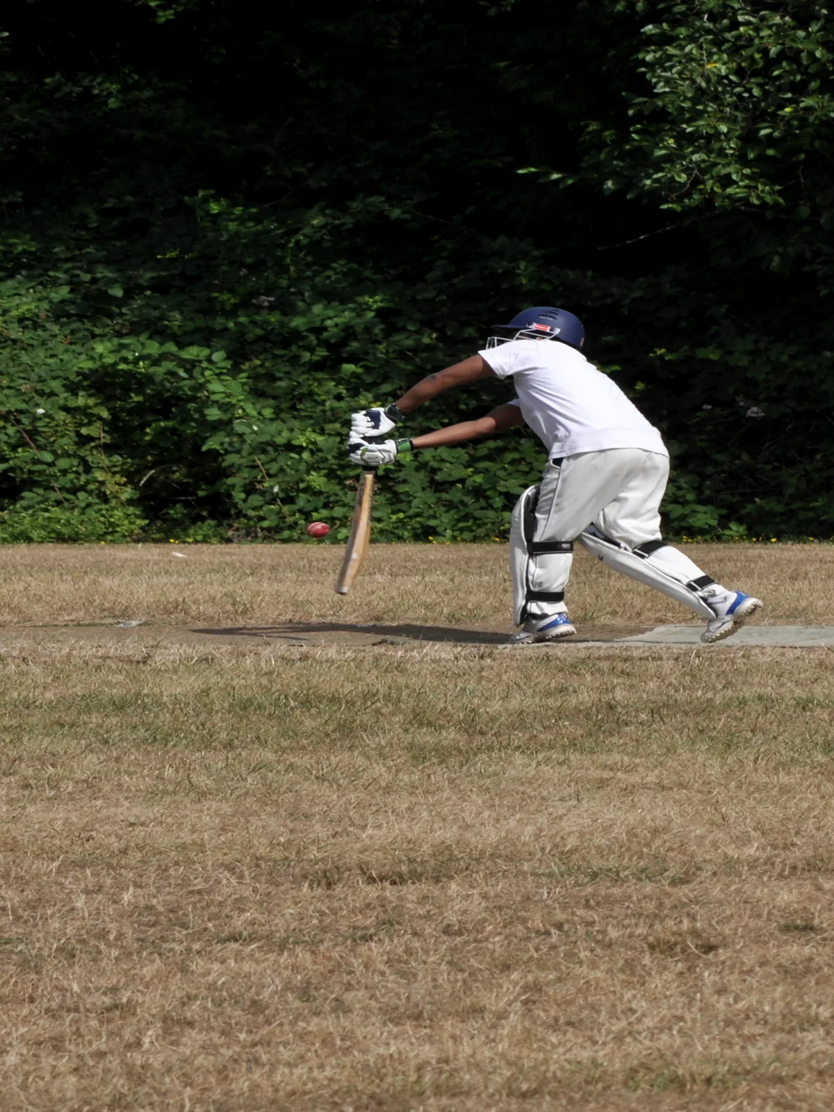 Cricket batsman action placeholder used for the Sherfane Rutherford hero section.